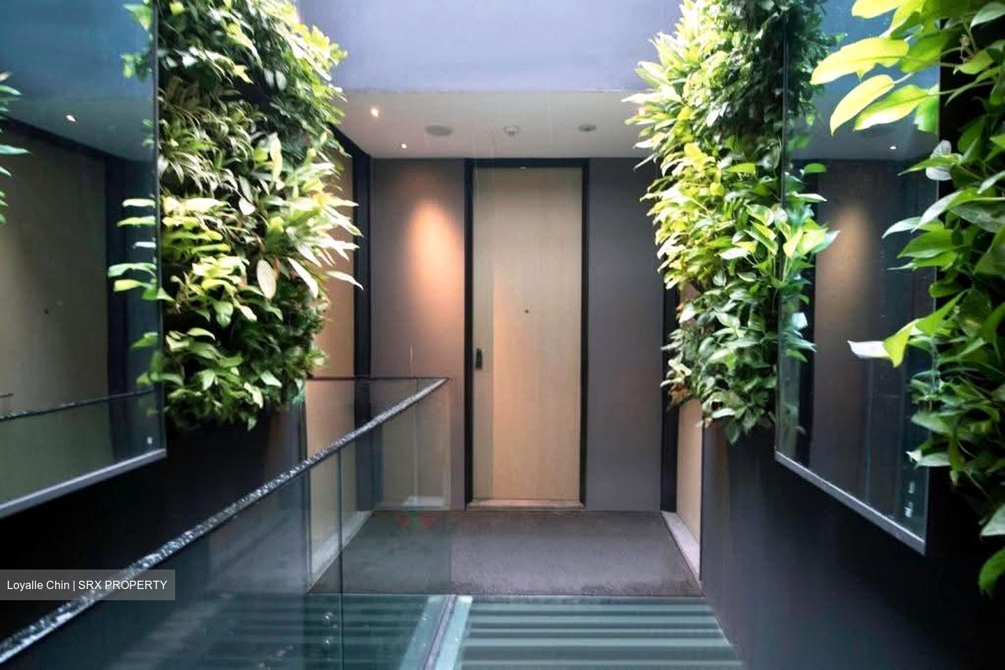 Hongkong Street (D1), Shop House #625968991